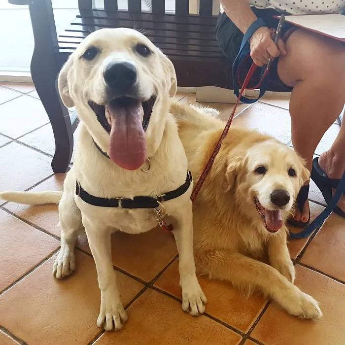 Animal Clinic Del Rancho Picture 9