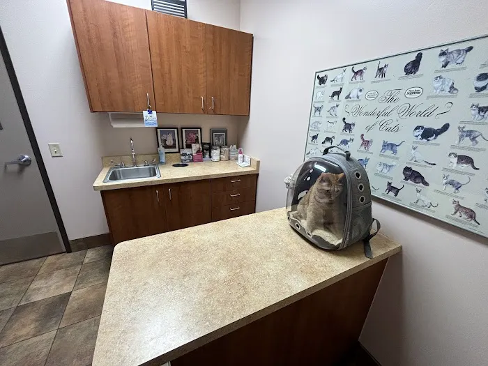 KC Animal Hospital & Pet Resort Picture 2