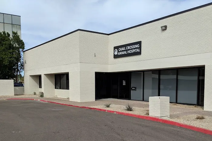 Quail Crossing Animal Hospital Picture 7