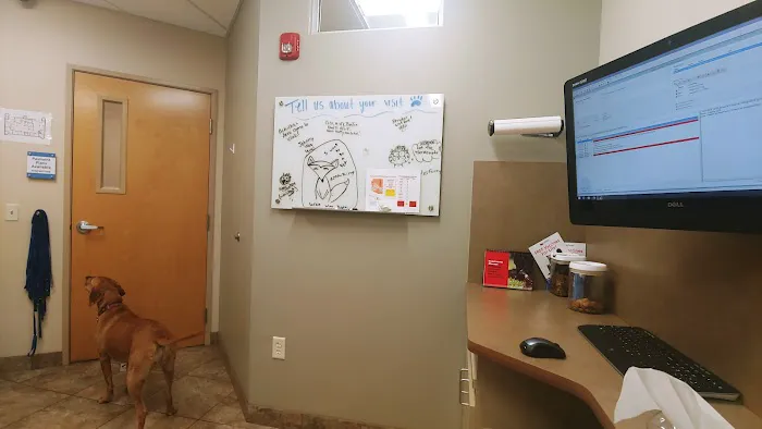 Lovet Pet Health Care - Scottsdale Hills Picture 4