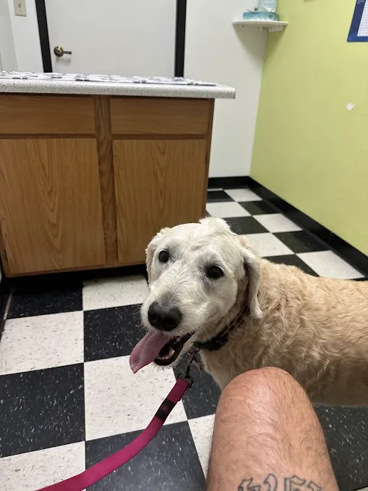 North Ranch Animal Hospital (Kierland Animal Clinic) Picture 3