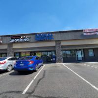 North Ranch Animal Hospital (Kierland Animal Clinic) ico