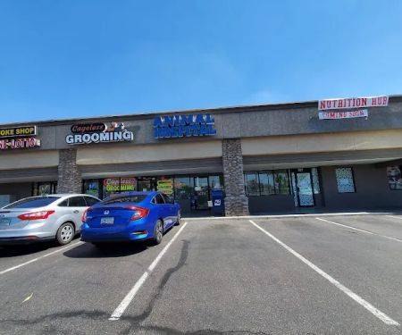 North Ranch Animal Hospital (Kierland Animal Clinic)