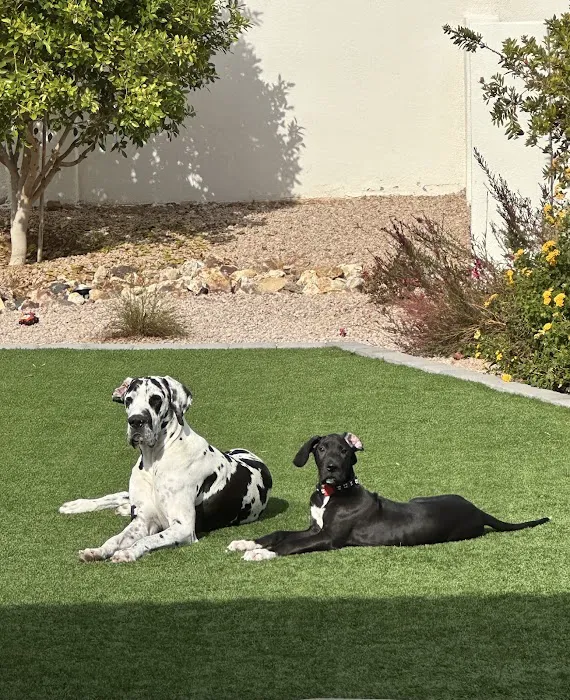 Kierland Animal Clinic Picture 4