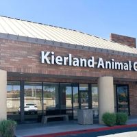 Kierland Animal Clinic ico