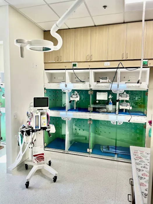LUXE.VET Picture 1