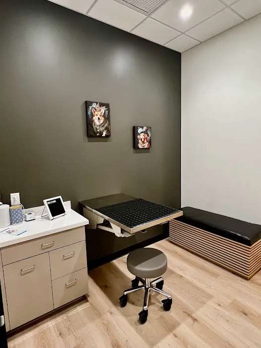 LUXE.VET Picture 5