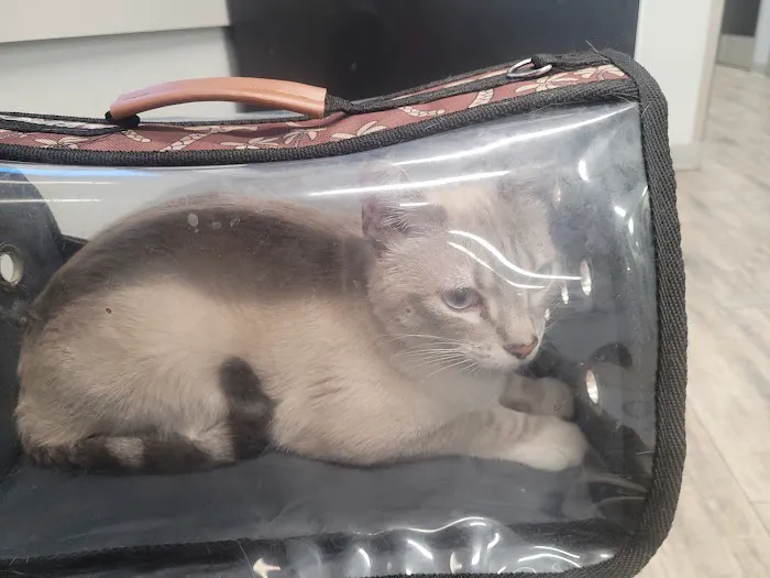 Phoenix Veterinary Referral & Emergency Center Picture 2