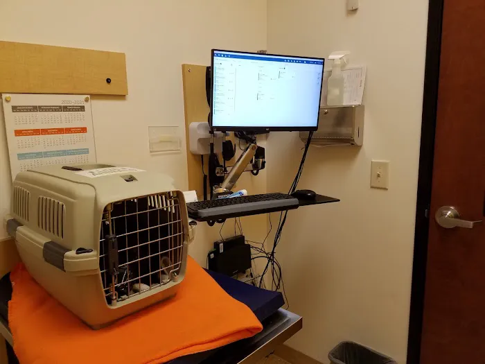 Banfield Pet Hospital Picture 2