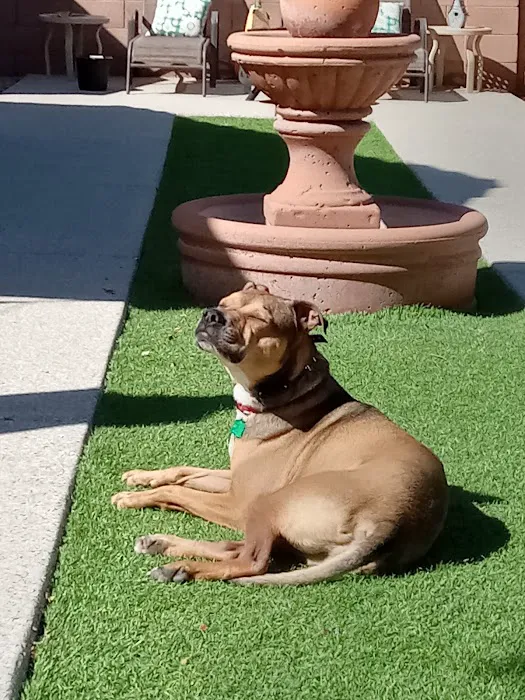 Banfield Pet Hospital Picture 5