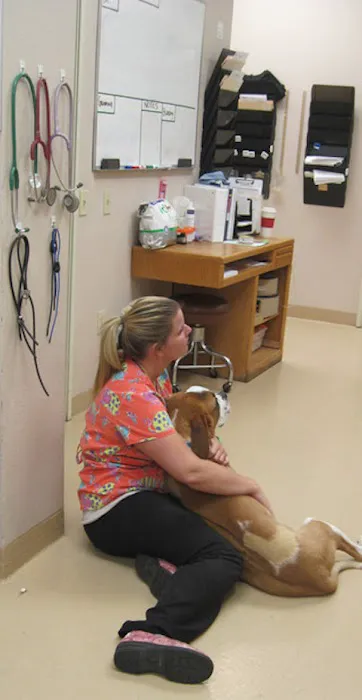 Stonecrest Animal Hospital Picture 4