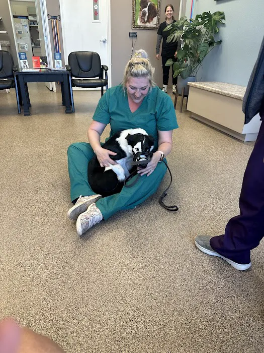 Stonecrest Animal Hospital Picture 8