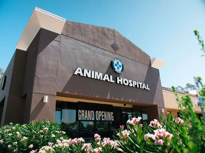 Paradise Point Animal Hospital with Veterinarians On-The-Go Picture 2