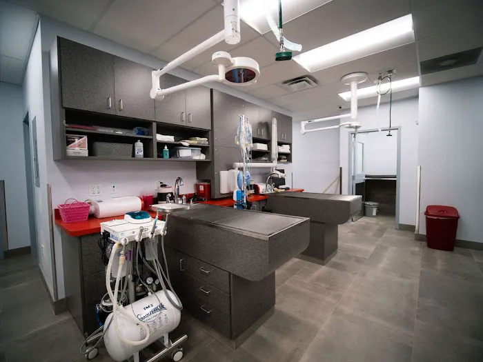 Paradise Point Animal Hospital with Veterinarians On-The-Go Picture 3
