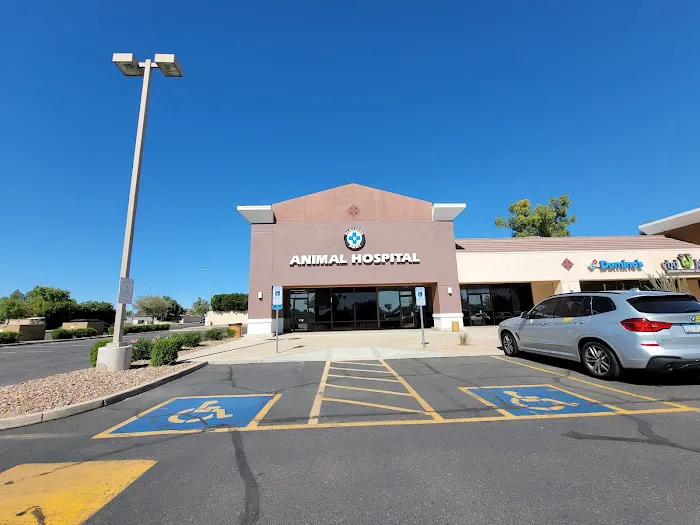Paradise Point Animal Hospital with Veterinarians On-The-Go Picture 1