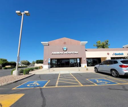 Paradise Point Animal Hospital with Veterinarians On-The-Go