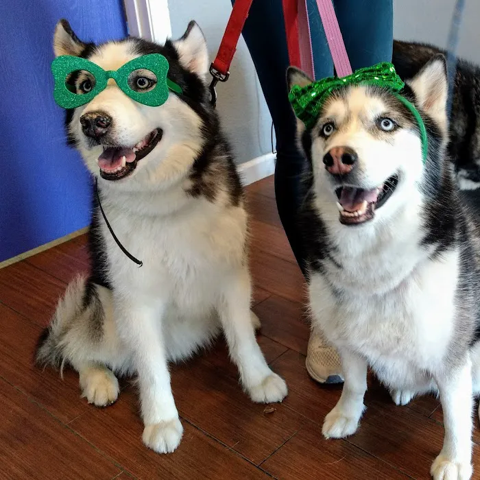 Indian Bend Animal Hospital Picture 3
