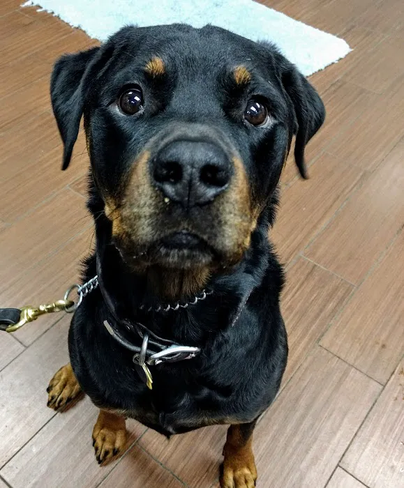 Indian Bend Animal Hospital Picture 6