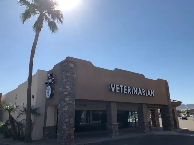 Companion Pet Clinic of North Phoenix Picture 1