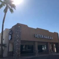 Companion Pet Clinic of North Phoenix ico