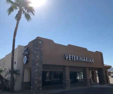 Companion Pet Clinic of North Phoenix