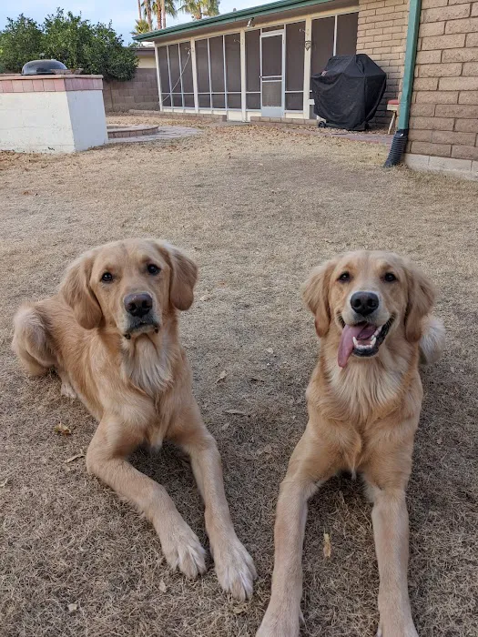 Companion Pet Clinic of North Phoenix Picture 9
