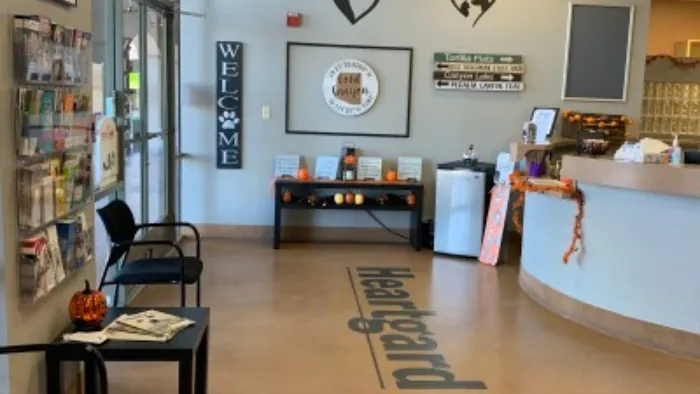 Companion Pet Clinic of Gold Canyon Picture 3