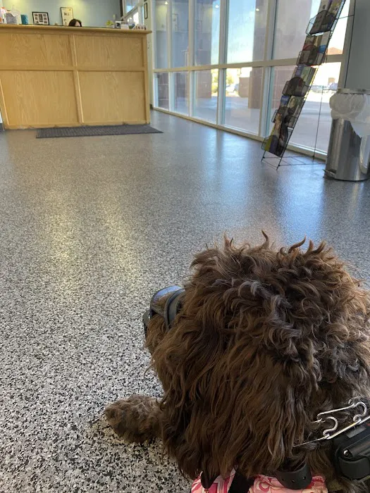 Oasis Animal Hospital Picture 3