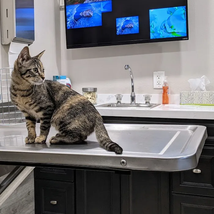 Sunridge Animal Hospital Picture 6
