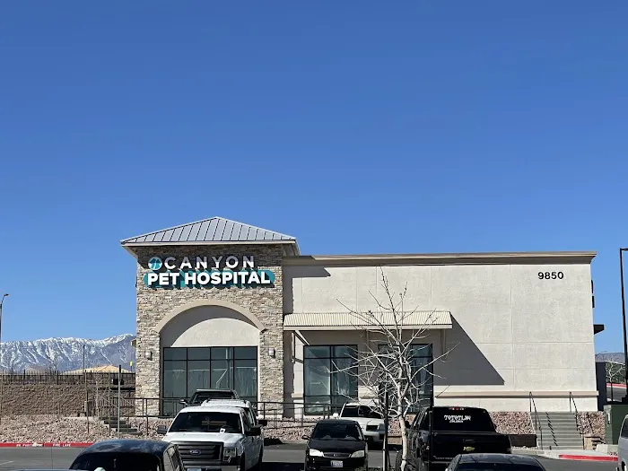 Canyon Pet Hospital Picture 1