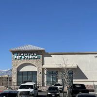 Canyon Pet Hospital ico