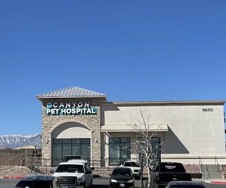 Canyon Pet Hospital