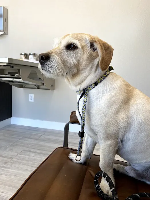 Canyon Pet Hospital Picture 2