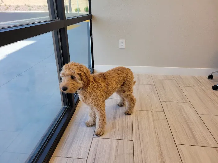 Canyon Pet Hospital Picture 5