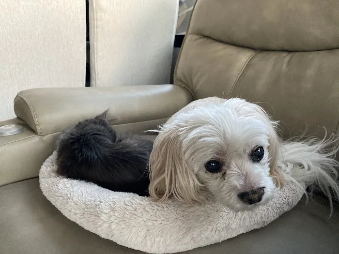 Canyon Pet Hospital Picture 7