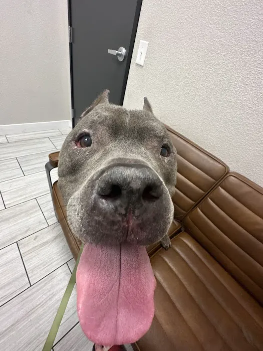 Canyon Pet Hospital Picture 10