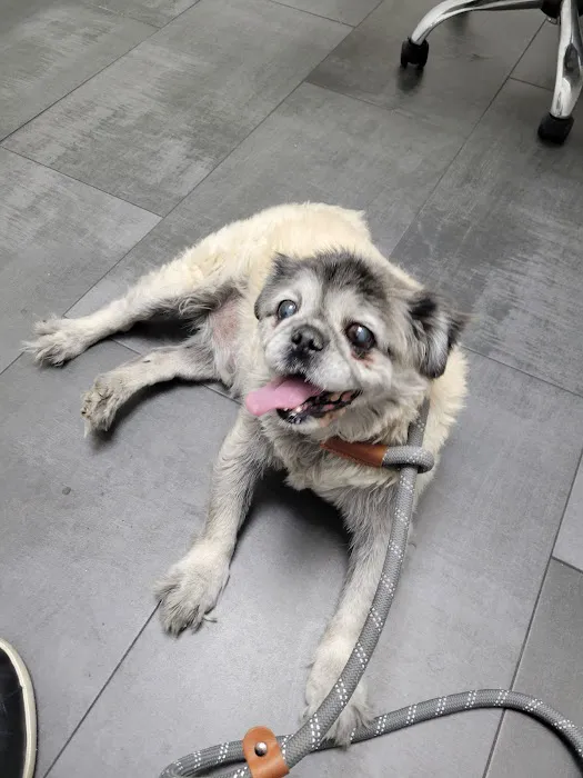 The Edge Pet Hospital Picture 8