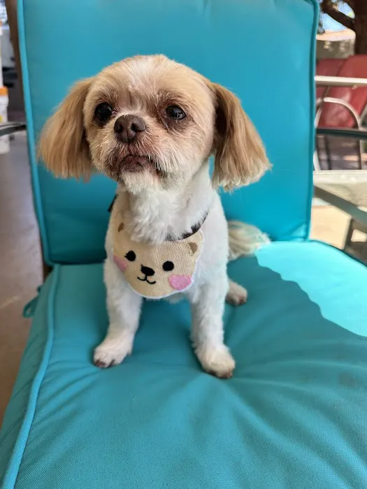 The Edge Pet Hospital Picture 9