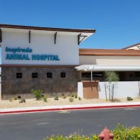 Inspirada Animal Hospital ico