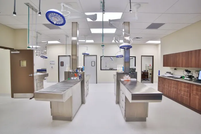 Inspirada Animal Hospital Picture 2