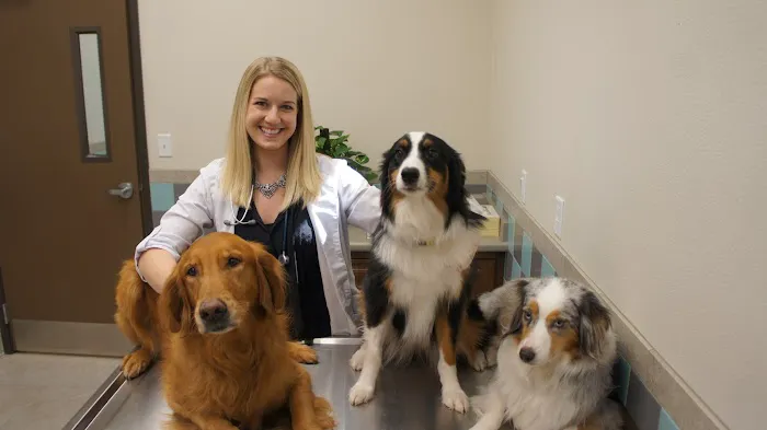 Inspirada Animal Hospital Picture 5