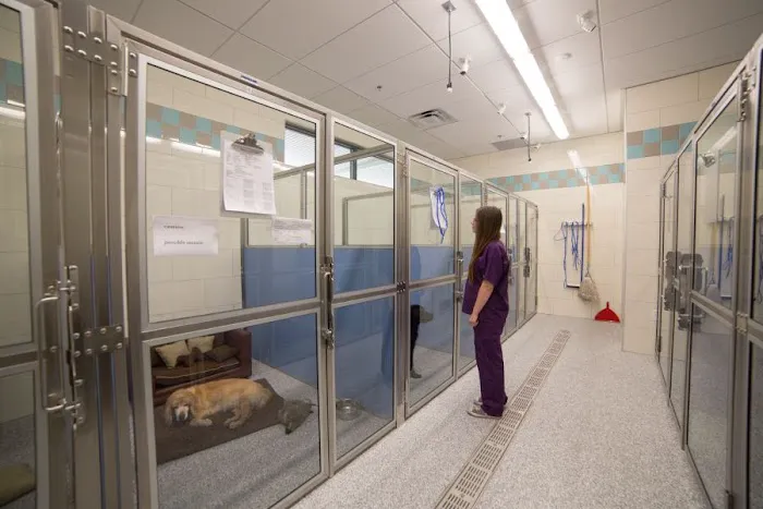 Inspirada Animal Hospital Picture 3