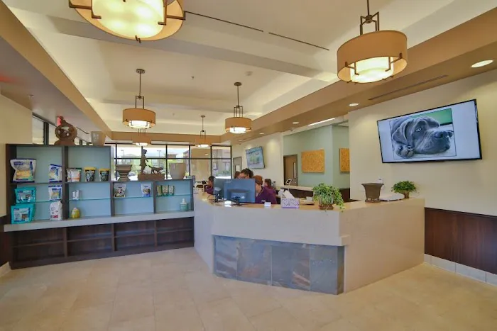 Inspirada Animal Hospital Picture 6