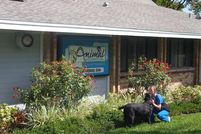 Animal Hospital of Northwood Picture 3