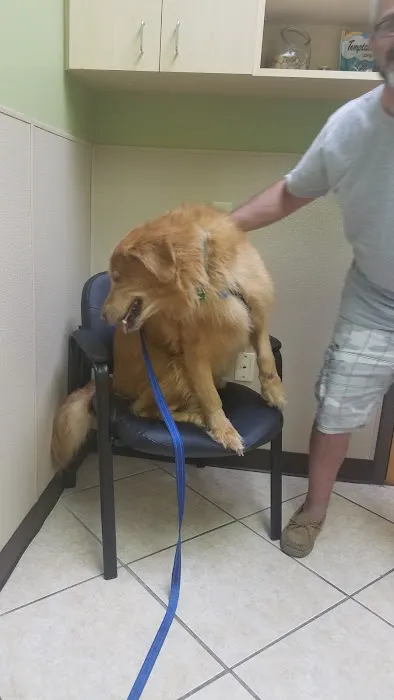 Enterprise Rd Animal Hospital, Dr Carlos Pola Picture 10