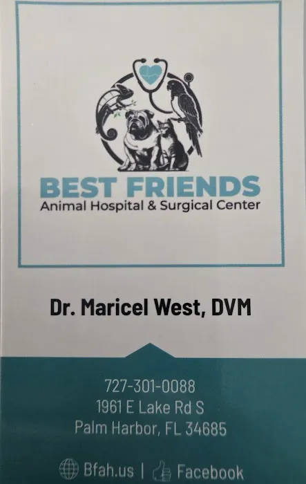Best Friends Animal Hospital and Surgical Center Picture 1