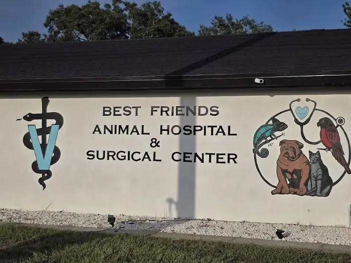 Best Friends Animal Hospital and Surgical Center Picture 4