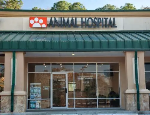 Ridgemoor Animal Hospital Picture 3