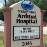 Starkey Ranch Animal Hospital