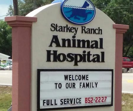 Starkey Ranch Animal Hospital
